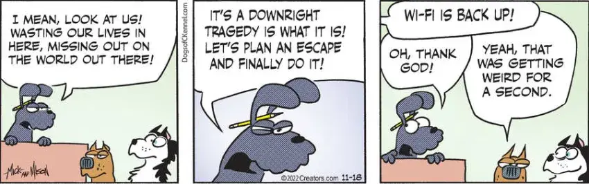 Dogs of C-Kennel for Nov 18, 2022