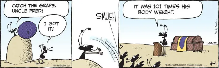 B.C. for Nov 18, 2022