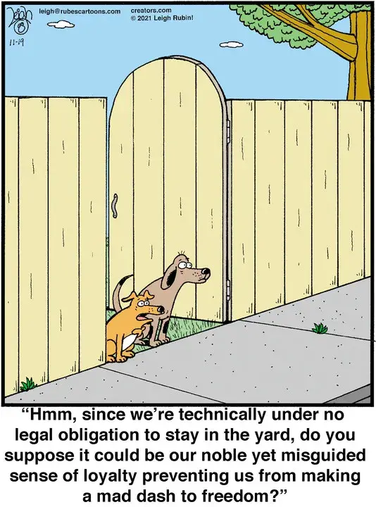 Rubes® for Nov 19, 2021