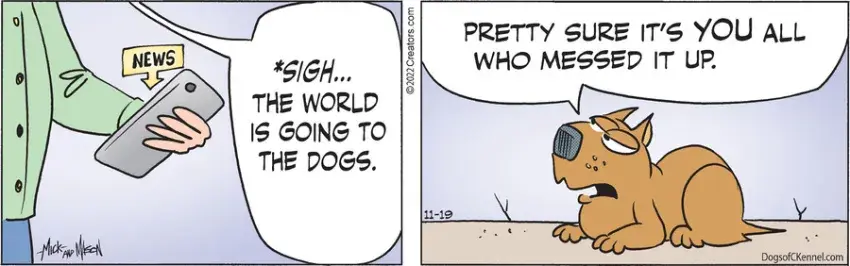 Dogs of C-Kennel for Nov 19, 2022