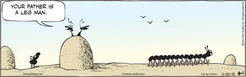 B.C. for Nov 20, 2021