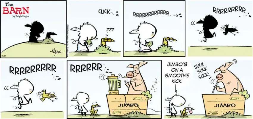 The Barn for Nov 20, 2022