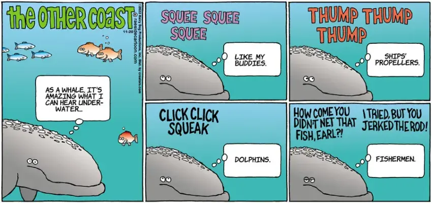 The Other Coast for Nov 20, 2022