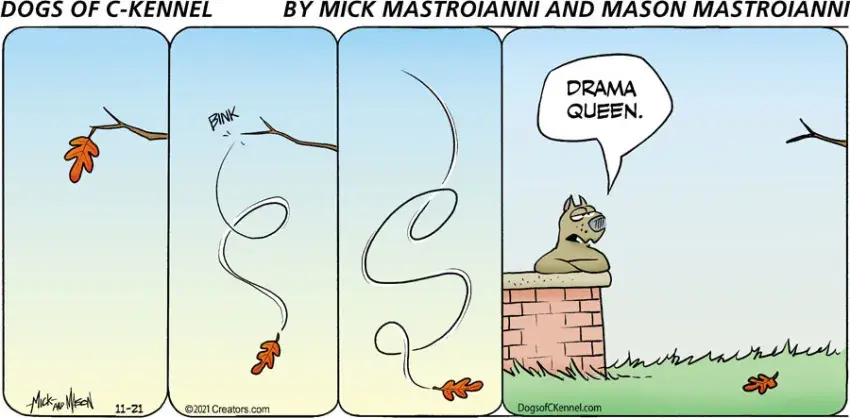 Dogs of C-Kennel for Nov 21, 2021