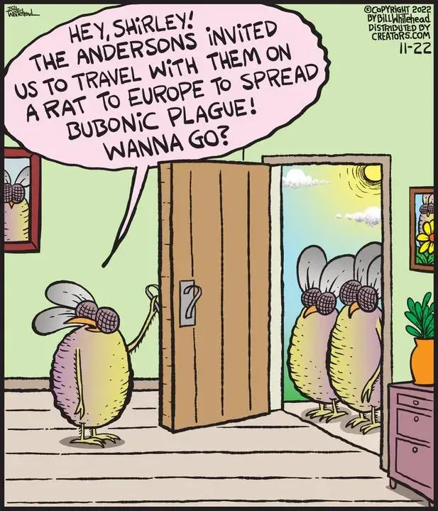 Free Range for Nov 22, 2022