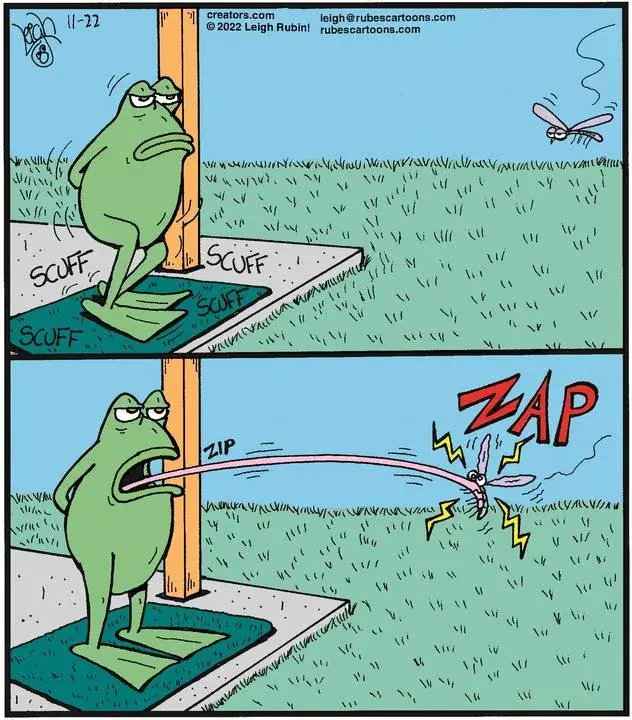 Rubes® for Nov 22, 2022