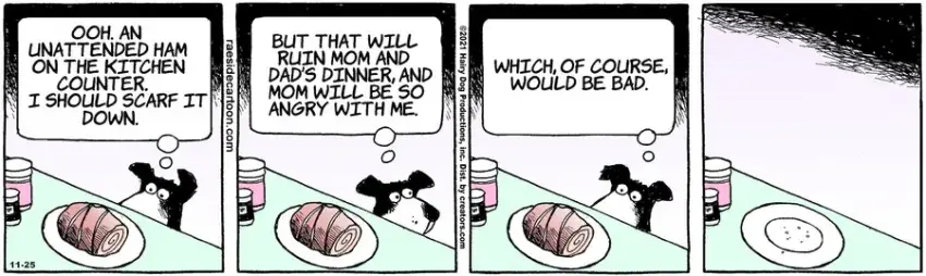 The Other Coast for Nov 25, 2021