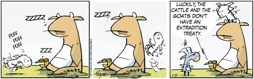 The Barn for Nov 25, 2021