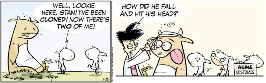 The Barn for Nov 25, 2023