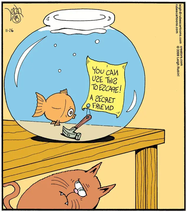 Rubes® for Nov 26, 2021