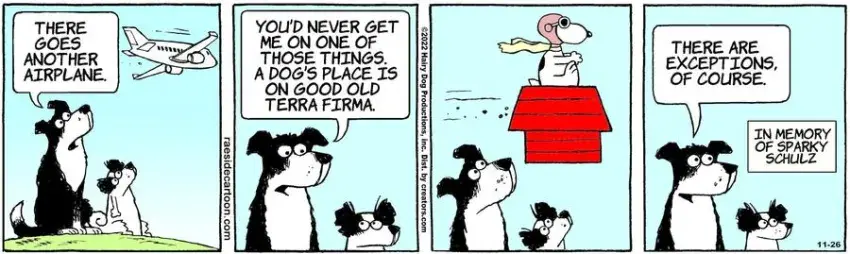 The Other Coast for Nov 26, 2022