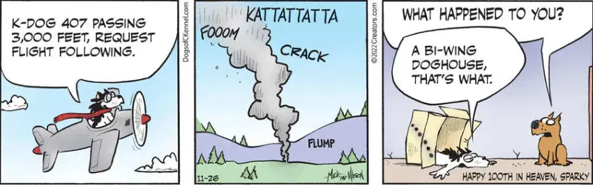 Dogs of C-Kennel for Nov 26, 2022