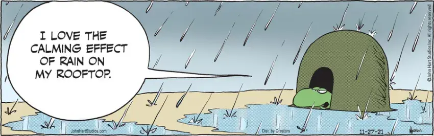 B.C. for Nov 27, 2021