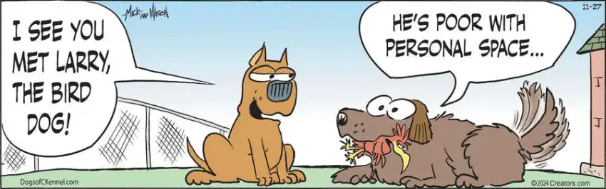 Dogs of C-Kennel for Nov 27, 2024