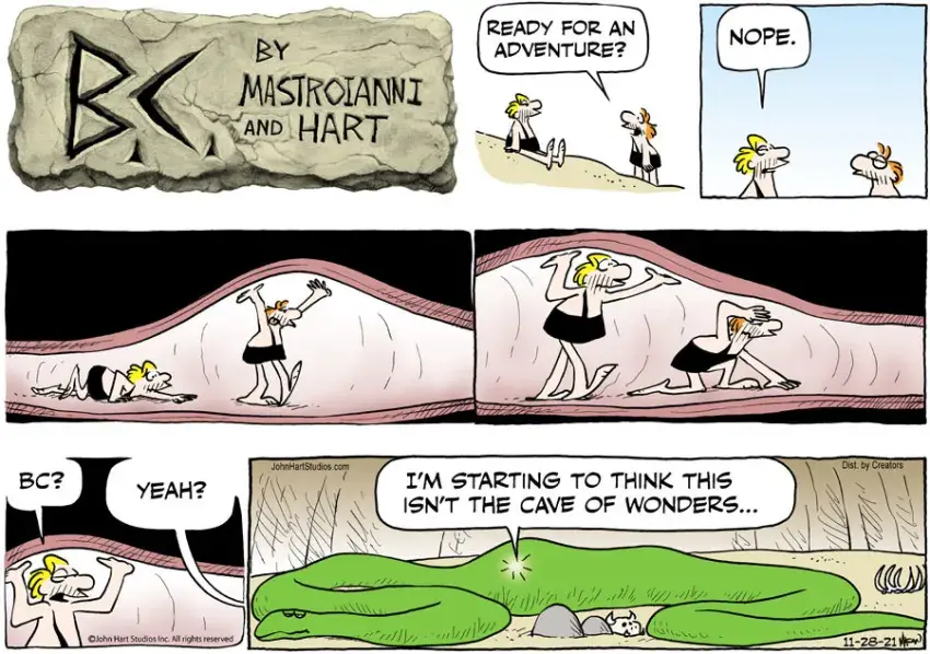 B.C. for Nov 28, 2021