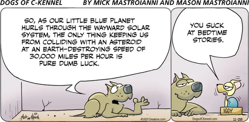 Dogs of C-Kennel for Nov 28, 2021