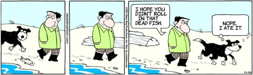 The Other Coast for Nov 29, 2021