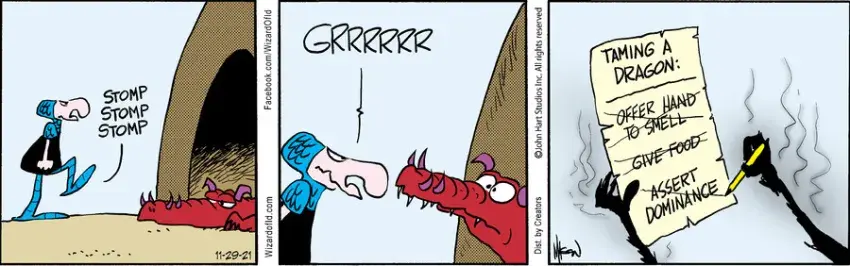 Wizard of Id for Nov 29, 2021