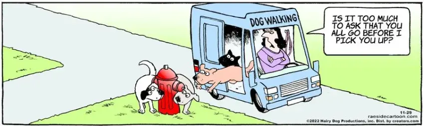 The Other Coast for Nov 29, 2022