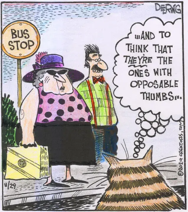 Strange Brew for Nov 29, 2024