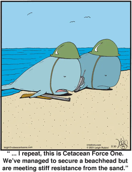 Rubes® for Nov 30, 2021