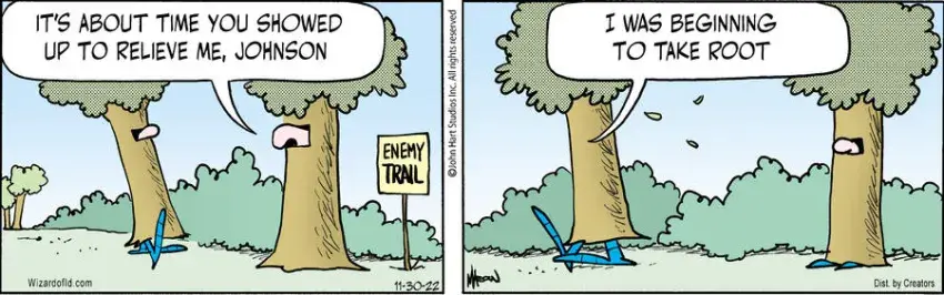 Wizard of Id for Nov 30, 2022