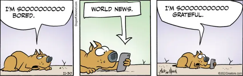 Dogs of C-Kennel for Nov 30, 2022