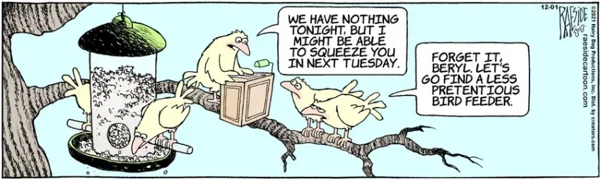 The Other Coast for Dec 01, 2021