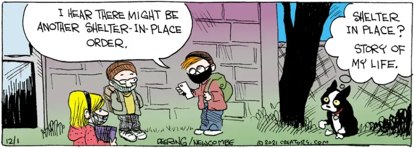 Zack Hill for Dec 01, 2021