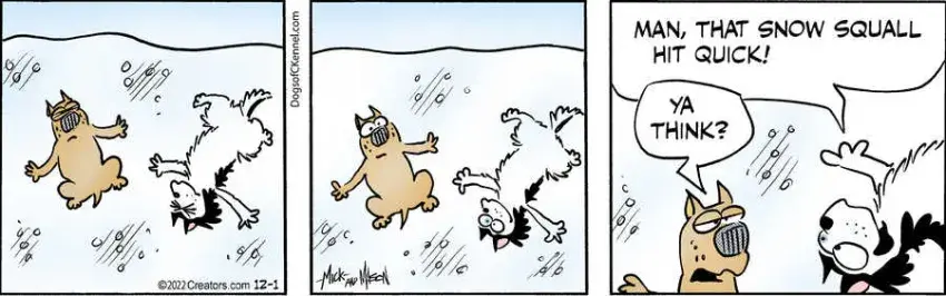 Dogs of C-Kennel for Dec 01, 2022