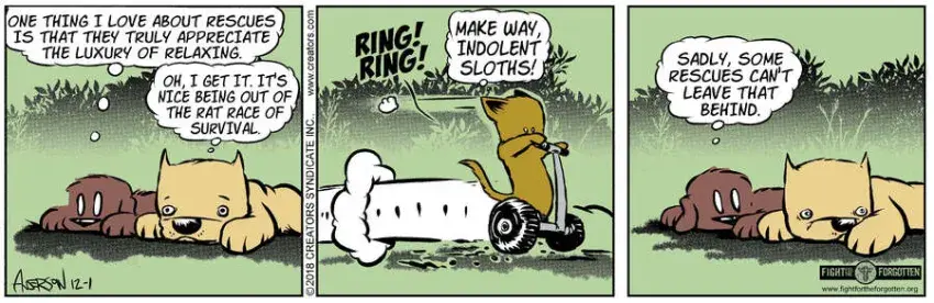 Dog Eat Doug for Dec 01, 2023