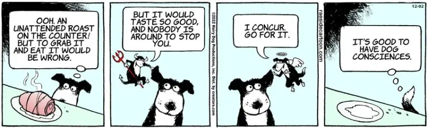 The Other Coast for Dec 02, 2022