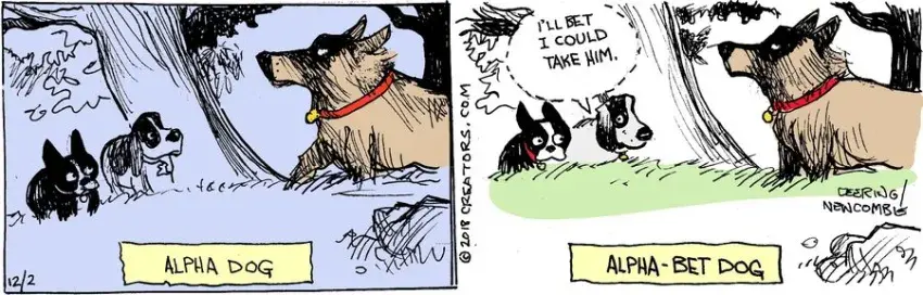 Zack Hill for Dec 02, 2022