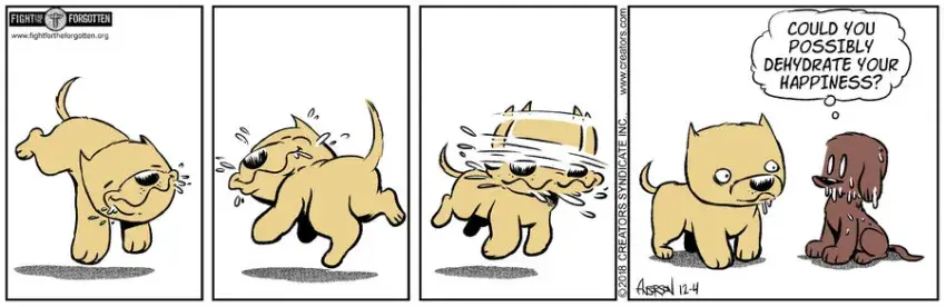 Dog Eat Doug for Dec 04, 2023