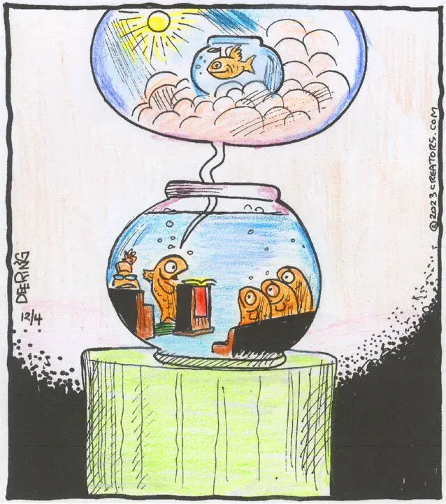 Strange Brew for Dec 04, 2023