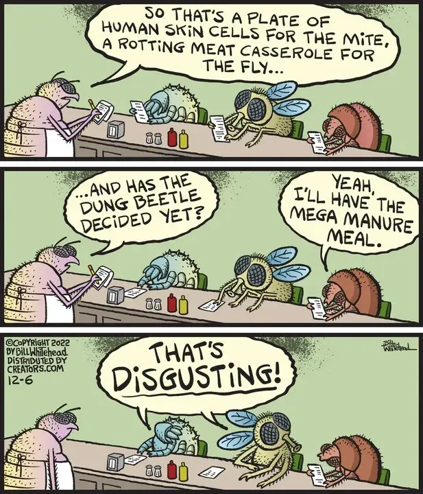 Free Range for Dec 06, 2022