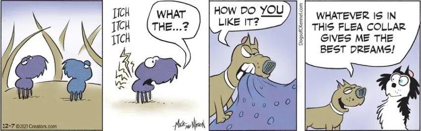 Dogs of C-Kennel for Dec 07, 2021