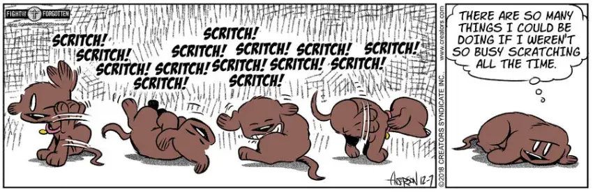 Dog Eat Doug for Dec 07, 2023