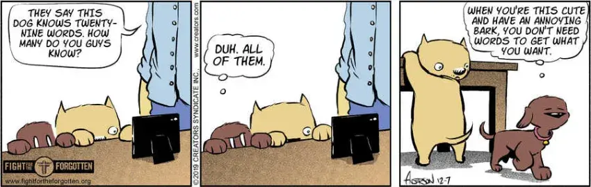 Dog Eat Doug for Dec 07, 2024