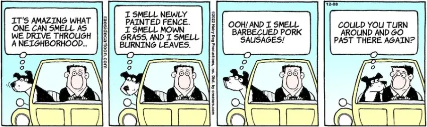 The Other Coast for Dec 08, 2022