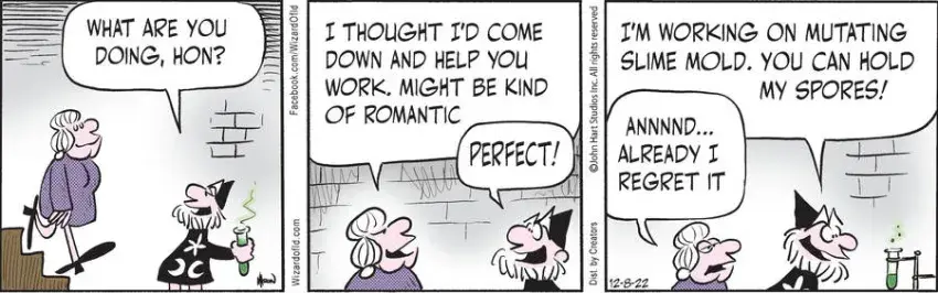 Wizard of Id for Dec 08, 2022