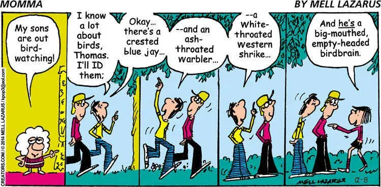 Momma for Dec 08, 2024