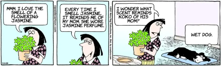 The Other Coast for Dec 09, 2021