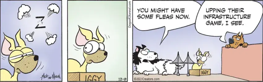 Dogs of C-Kennel for Dec 09, 2022