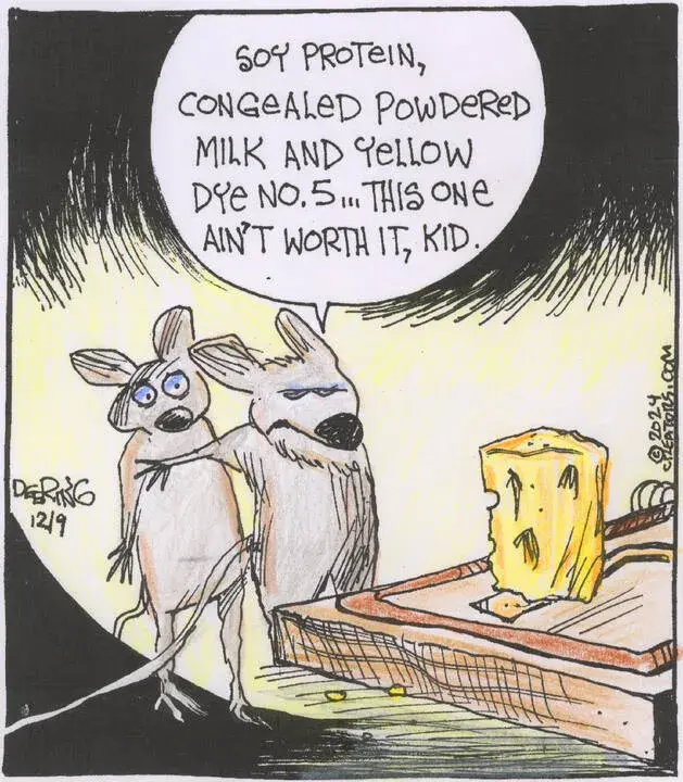 Strange Brew for Dec 09, 2024