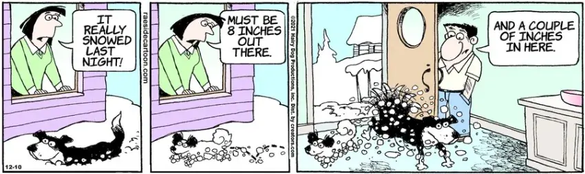 The Other Coast for Dec 10, 2021