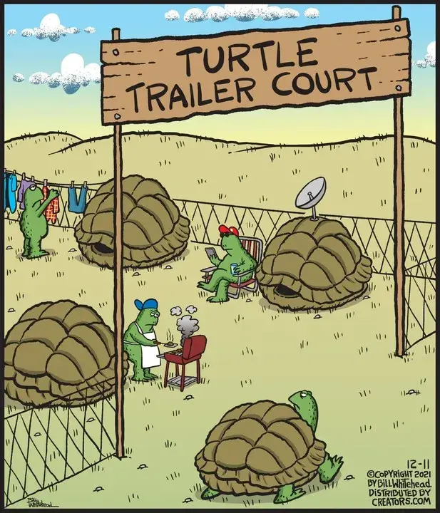 Free Range for Dec 11, 2021