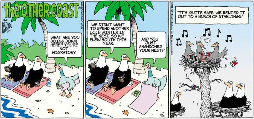 The Other Coast for Dec 11, 2022