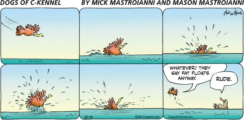 Dogs of C-Kennel for Dec 12, 2021