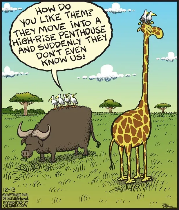 Free Range for Dec 13, 2021